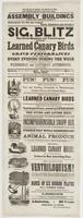 Sig. Blitz the great magician and ventriloquist, with his learned canary birds : will give his grand performances at the above hall, every evening during the week commencing at half-past 7 o'clock, and Wednesday and Saturday afternoons, at 3 o'clock. Chil