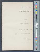 B14F03 - Separate demurrer of Henry J. Williams; Manners v. Henry J. Williams and the Library Company, 1878-03-04