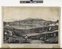 A View of Reading [graphic] : Taken from the west side of Schuylkill and most respectfully dedicated to the citizens of Berks County Pa. / By F.A. Holtzwart.