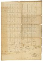 Plan of the town of Blue Rock situate in Manor Township, Lancaster County on the eastern shore of Susquehanna River [cartographic material].