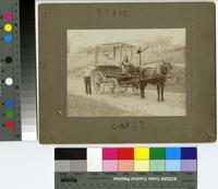 [Bunch, the horse, pulling William W. Cutair's West Philadelphia express wagon] [graphic] / G. D. DiFazio Art Studio, 906 So. 8th St. Phila.