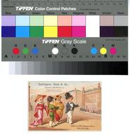 Darlington, Runk & Co. Importers and retailers of dry goods. [graphic].