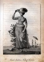 Female quadroon [sic] slave of Surinam [graphic] / Perry sculpt.