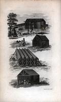 [Tobacco house] [graphic] / W. Newman del. sculp.