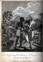 The mode of training blood hounds in St. Domingo and of exercising them by Chasseurs [graphic] / M. Rainsford del. ; J. Barlow sculpt.