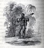 [Sampson, a West Indian slave] [graphic].