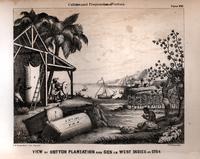 View of cotton plantation and gen [sic] in West Indies in 1764 [graphic] / F. Fuchs sc.