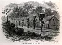 Carrying cotton to the gin [graphic] / J.W. Orr N.Y.