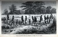 Gang of captives met at Mbame's on their way to Tette [graphic] / J.W. Whymper sc.