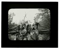 Canoeing on the Mullica River [graphic].