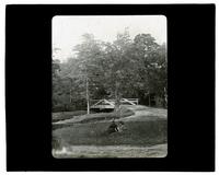 In the woods, Sea Girt, N.J., [Bess and another woman sitting in foreground] [graphic].