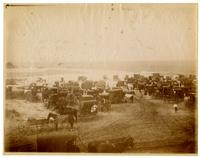 [Jersey Wash Day. Several horse and wagons line the beach at Sea Girt, NJ] [graphic].