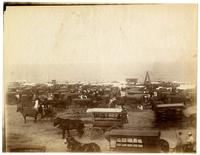 [Jersey Wash Day. Several horse and wagons line the beach at Sea Girt, NJ] [graphic].