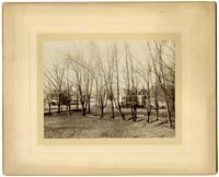 From rear windows, 6706 Cresheim Road Germantown [graphic].