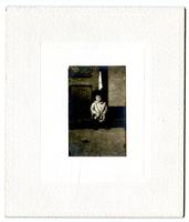 Elliston P. Morris Jr. watching a tortoise. At 