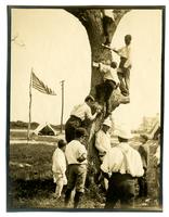 [Climbing a tree, Boys Parlors Camp, Wildwood, NJ] [graphic].