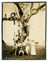 [Group in a tree, Boys Parlors Camp, Wildwood, NJ] [graphic].