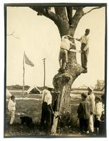 [Climbing a tree, Boys Parlors Camp, Wildwood, NJ] [graphic].