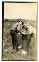 [Two men working in a field, Egg Harbor River, NJ] [graphic].