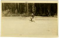 Paradise Valley day trip [graphic].