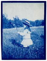 [Marriott C. Morris Jr. picking daisies, Pelham] [graphic].