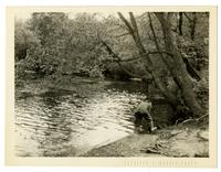 [Man on the riverbank. Browns Mills, NJ with Photographic Society] [graphic].