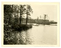 [View of the river. Browns Mills NJ with Photographic Society] [graphic].