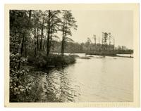 [View of the river, Browns Mills NJ with Photographic Society] [graphic].