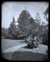 [Backyard, possibly of Deshler-Morris House, 5442 Germantown Avenue] [graphic].