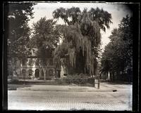 [Residence with weeping willow tree in foreground] [graphic].