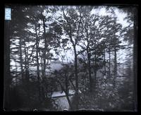 Glen (Devils Kitchen) near Observatory , Overlook Mt. [Catskills] [graphic].