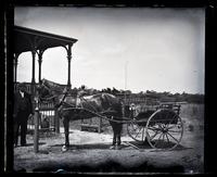 E[lliston] P[erot] M[orris] with horse (probably Dan) & cart in front of Avocado, [Sea Girt, NJ] [graphic].