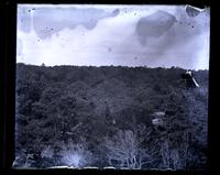 Looking out over Park from 3rd fl[oor] back window Avocado, [Sea Girt, NJ] [graphic].