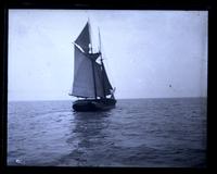 [Unidentified catboat sailing on water] [graphic].