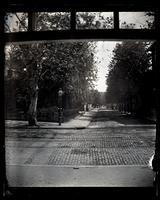 View from Parlor window down Church Lane, [Deshler-Morris House, Germantown] [graphic].