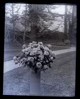 [Vase of roses in backyard of Deshler-Morris House, 5442 Germantown Avenue, Germantown] [graphic].