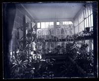 Conservatory at [Deshler-Morris House], 5442 G[erman]t[ow]n Ave. [graphic].