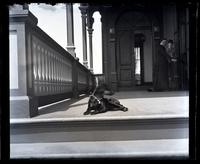 [Dog Jet on porch at Avocado, women in background, Sea Girt, N.J.] [graphic].