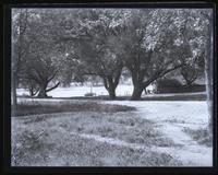 The lake & boat house at Lakewood, [NJ], thro [sic] trees from toward Laurel House [graphic].