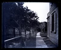 Side yard Avocado with fence, [Sea Girt, NJ] [graphic].