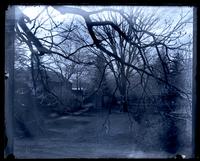 View from bottom of lawn, 5442 [Germantown Avenue, Deshler-Morris House] [graphic].