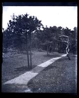 [Elliston P. Morris near road, possibly, behind Avocado, Sea Girt, NJ] [graphic].