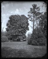 [Backyard of Deshler-Morris House, 5442 Germantown Avenue] [graphic].