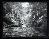 Devil's Pool, Cresheim Creek, looking up, [Philadelphia] [graphic].