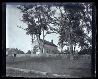 Miller's house & trees surrounding, [Sea Girt, NJ] [graphic].