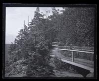 Bridge over Devil's Kitchen & path. [Catskills, NY] [graphic].