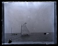 Cat-boat sailing, [Barnegat Bay, NJ] [graphic].
