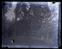 [Deshler-Morris House, 5442 Germantown Avenue] In our garden. Looking toward Carriage Road from flag path [graphic].