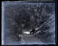 On Flirtation Walk, West Point [NY]. Sam [Morris] in foregr[oun]d [graphic].