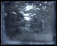 Looking thro. trees in Park near entrance, [possibly Crescent Park, Sea Girt, NJ] [graphic].